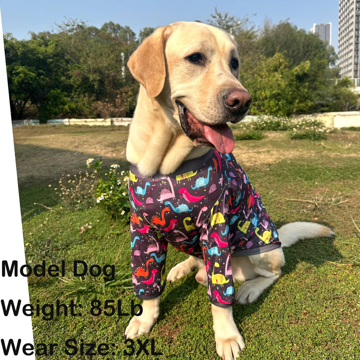 PriPre Dog Grey T Shirts with Color Dinosaur Pattern Printed Pet Shirt Softable Pajamas Large Dogs (XL, Grey)