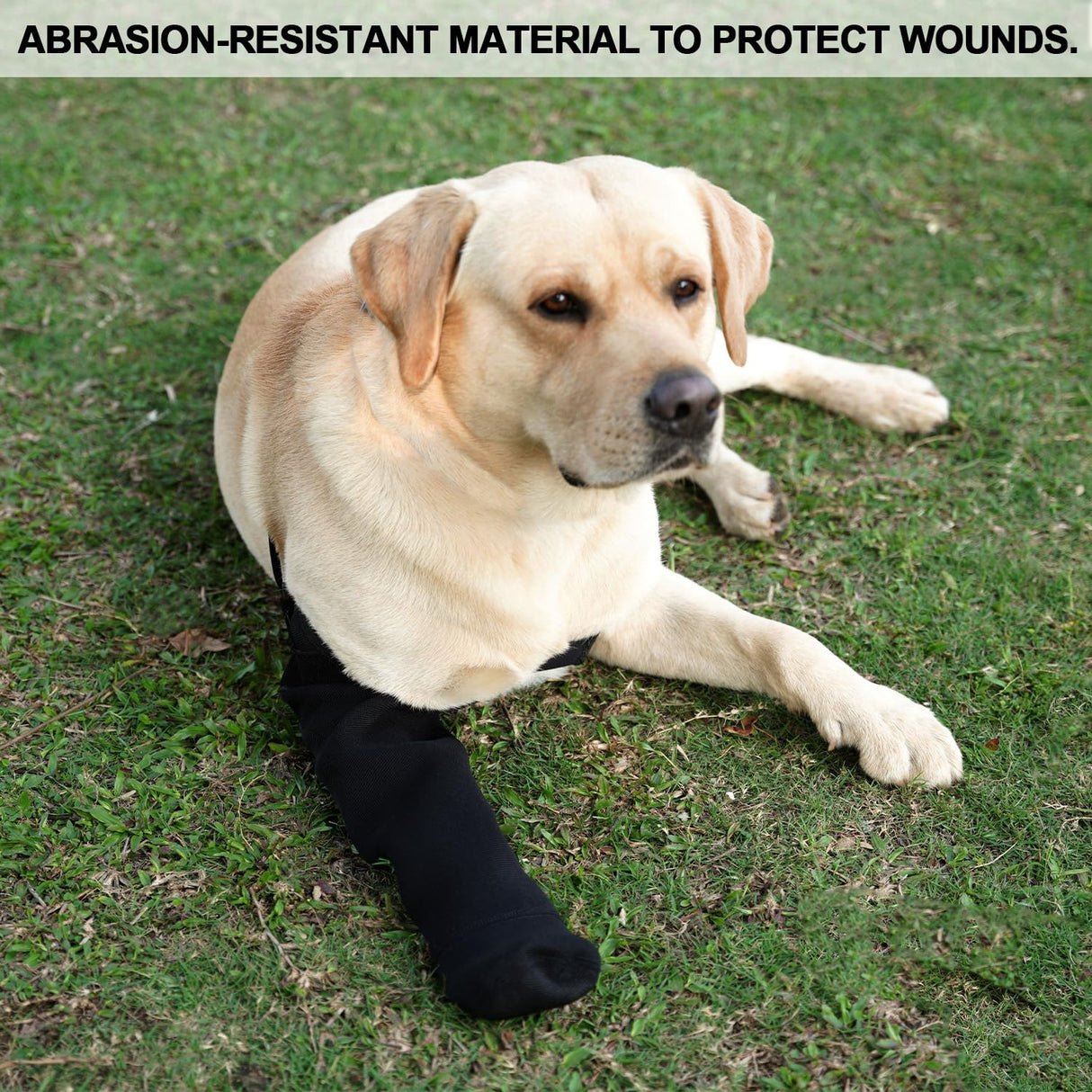 yrenoer Dog Recovery Socks - Waterproof Paw Protectors with Non-Slip Sole | Post-Surgery Boots for Wound Protection | Anti-Licking Sleeves for Dogs (Black, 4XL_Right)