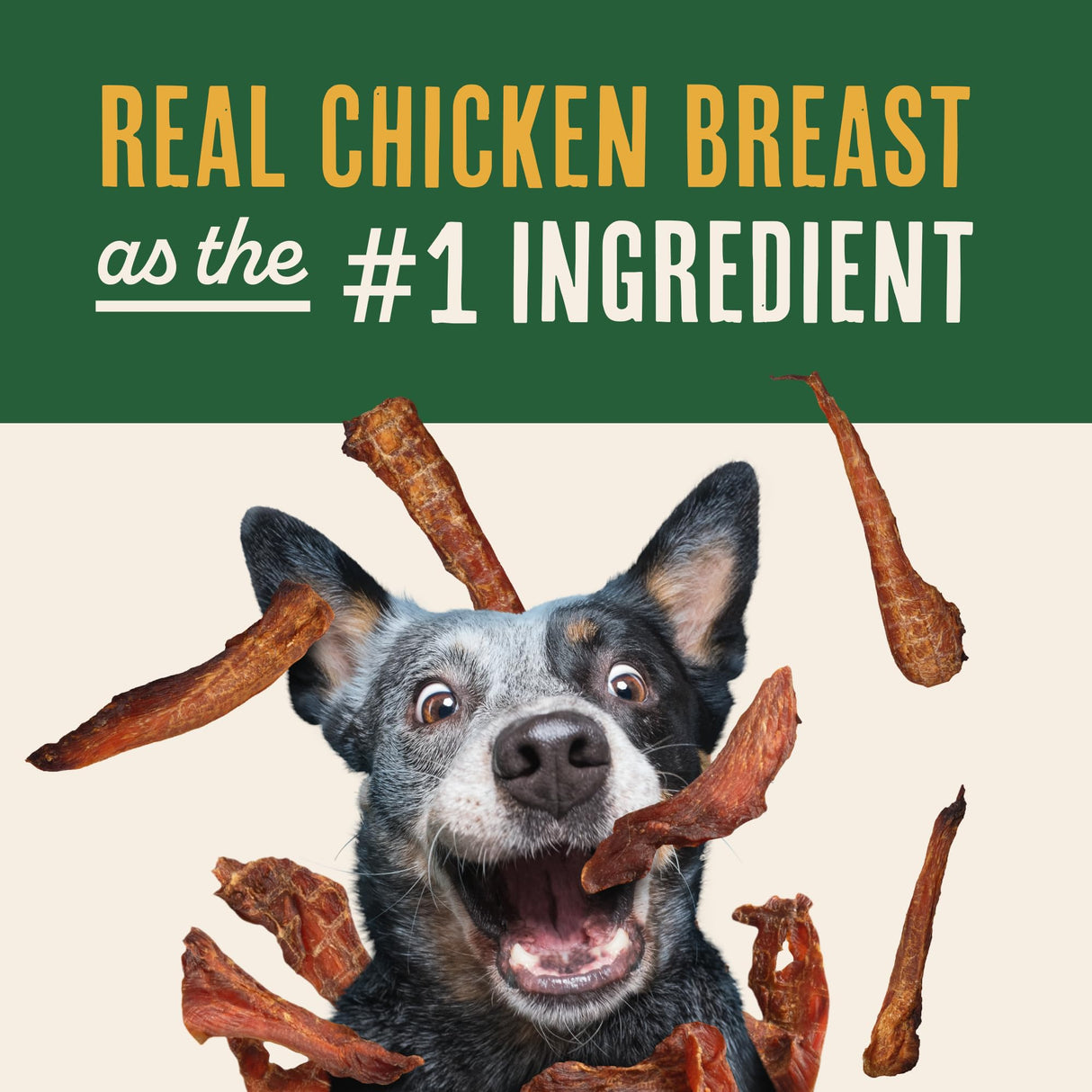Waggin' Train Smoked Chicken Jerky Tenders for Dogs with Turmeric and Human Grade Bone Broth, Grain and Corn Free, High Protein, Premium Limited Ingredient 100% Real Chicken Dog Treats, 24 oz. Pouch