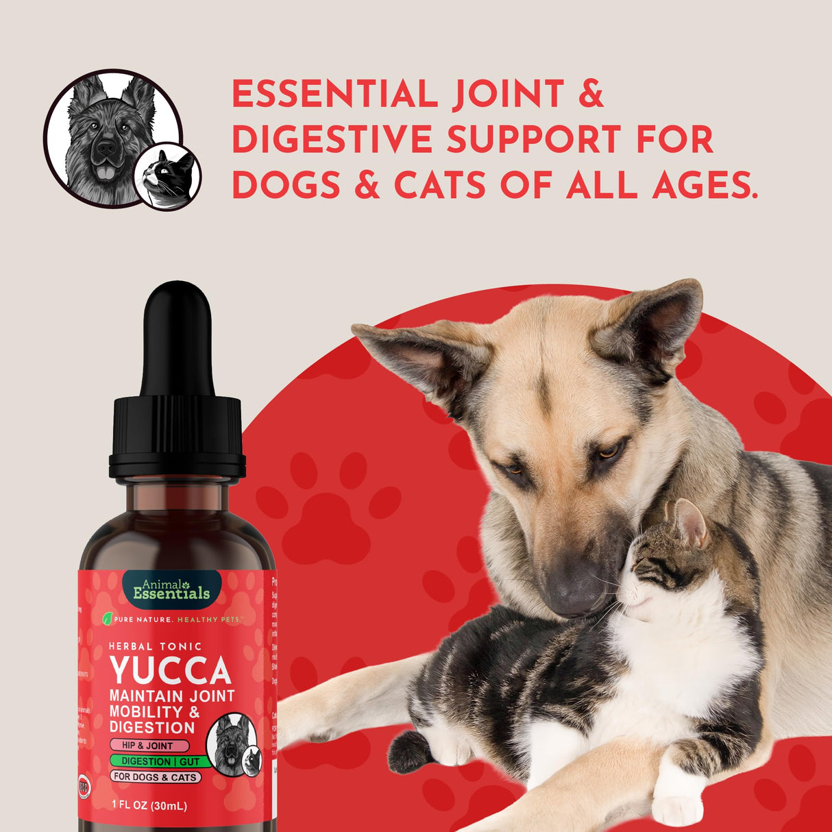 Animal Essentials Yucca - Hip and Joint Yucca Root Supplement for Dogs & Cats, Liquid Herbal Care Drops for Senior Dogs & Older Pets, Bowel & Immune Support, Antioxidant Boost - 1 fl oz