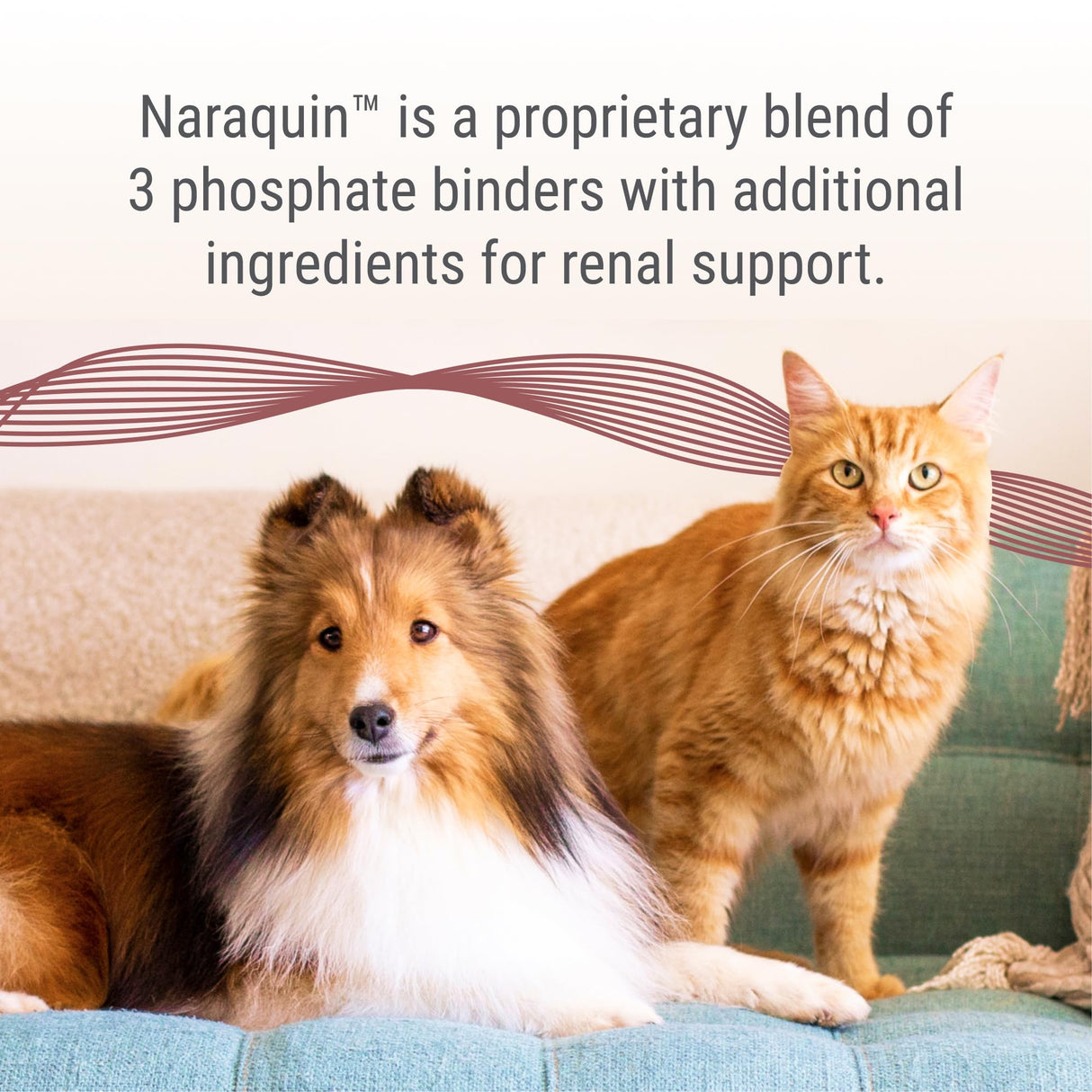 Nutramax Laboratories NARAQUIN™ Dietary Phosphate Binder + Renal Support Supplement for Cats & Dogs, 60 Count