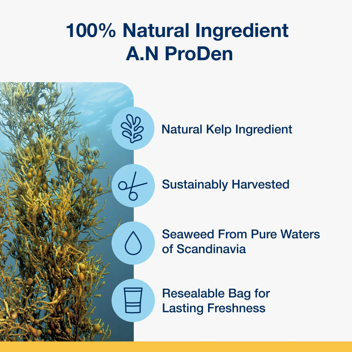 Proden PlaqueOff System Dental Care Bones for Dogs - Vegetable 17 oz