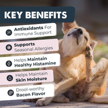 Load image into Gallery viewer, Mighty Paw Waggables Allergy Immune + Itch (Made in The USA) -Dog Chews Anti-Itch for Dogs. Allergy Support Vitamins for Skin and Coat Allergies. Omega 3 & Quercetin for Pets 120 Ct