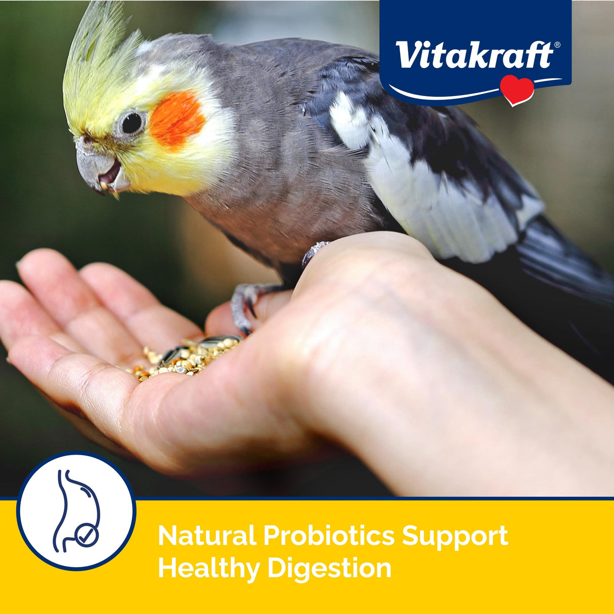 Vitakraft Menu Vitamin Fortified Cockatiel Food, 5 lb
