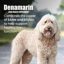 Load image into Gallery viewer, Nutramax Denamarin Liver Health Supplement for Large Dogs - With S-Adenosylmethionine (SAMe) and Silybin, 30Count(Pack of 1)