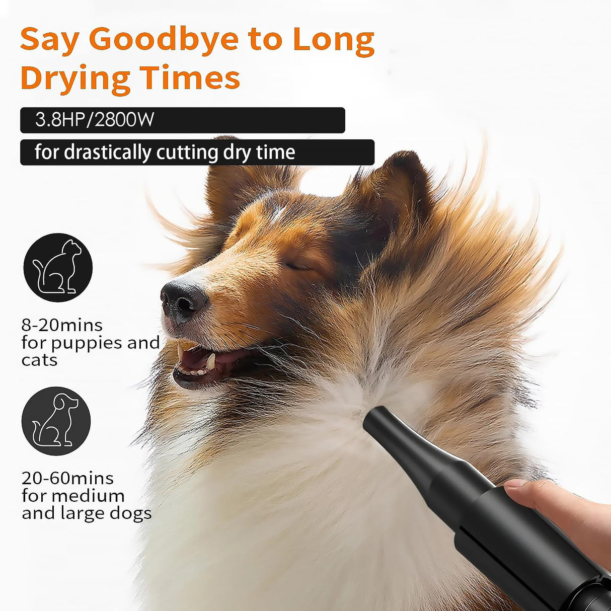 keqi 2800w 75m/s Pet Dryer Stepless Adjustable Speed Temperature Dogs Grooming Blow Dryer with Heater for Pets Hair Dryer