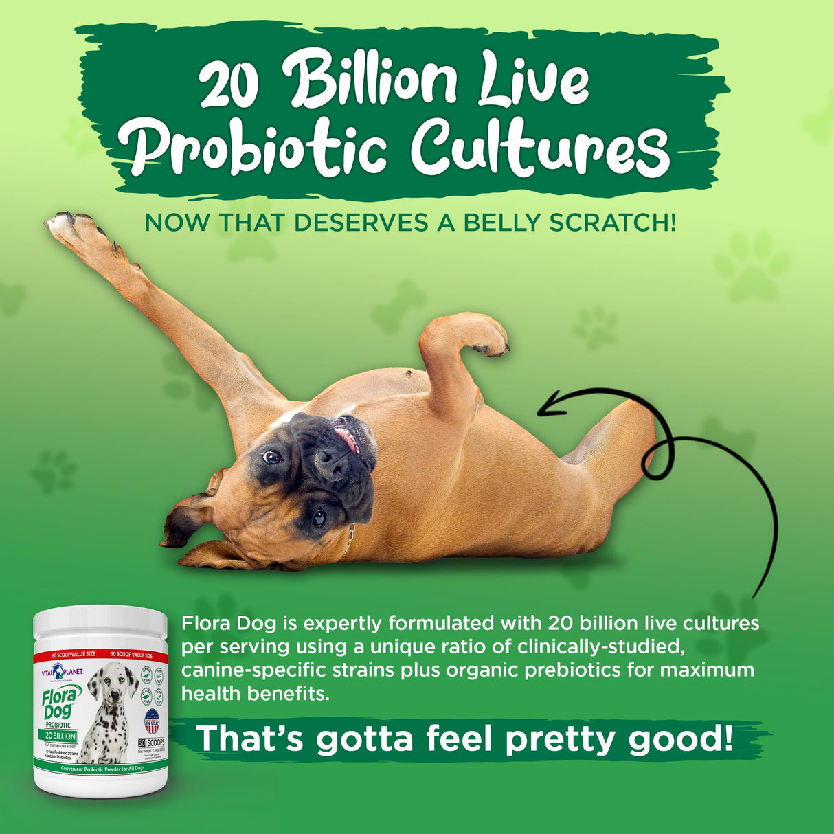 Vital Planet - Flora Dog Probiotic Powder Supplement with 20 Billion Cultures and 10 Strains, High Potency Immune and Digestive Support Probiotics for Dogs, 7.84 oz., 222 Grams, 60 Servings
