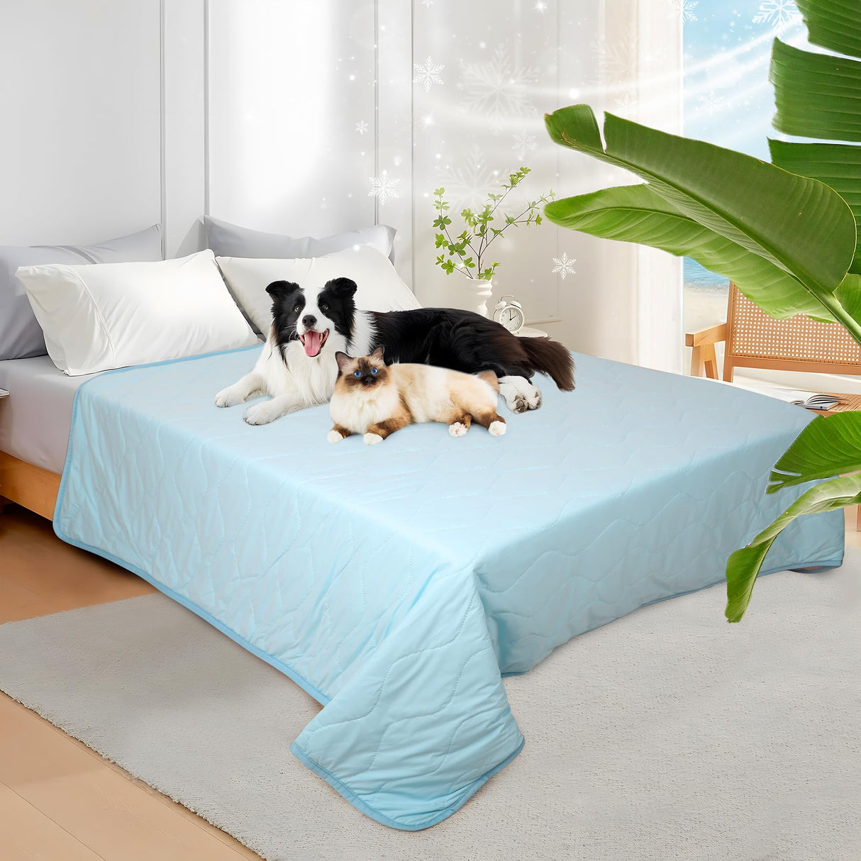 ZAKAPAWS Cooling Blanket for Dogs - Q-MAX>0.4 Waterproof Pet Throw Blanket Bed Cover, Non-Slip Dog Blankets for Couch Protector, Washable Furniture Cover for Summer, Blue,50x60