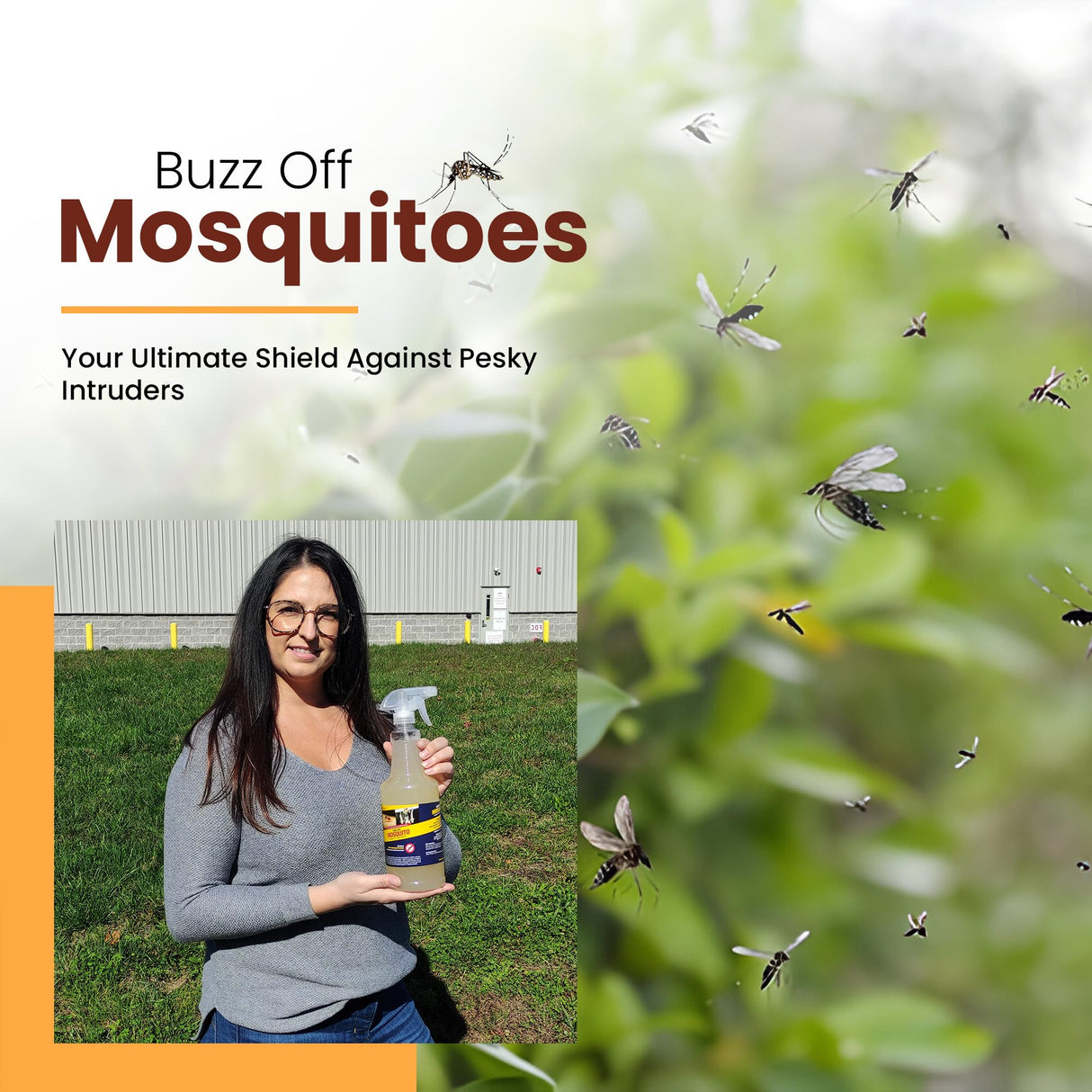 Flock Free Natural Mosquito Control Ready to Use Spray, Repels Mosquitoes, Ticks, Fleas, Flies, Gnats, and Chiggers Away (32 oz Ready to use)