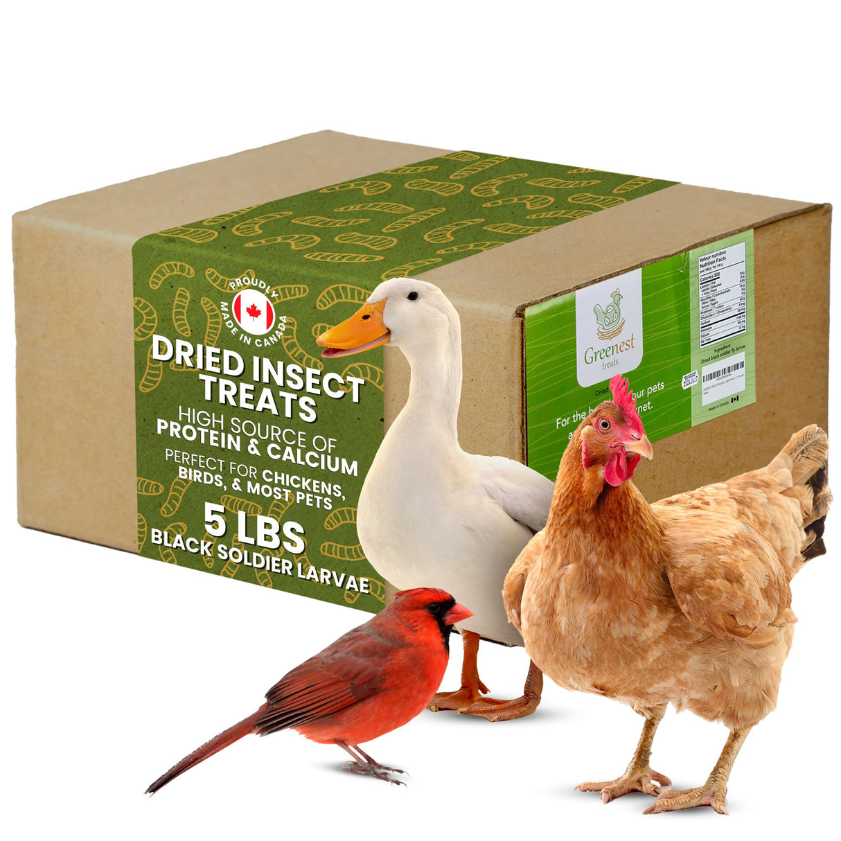 Dried Black Soldier Fly Larvae for Chickens & Ducks – Treats for Ducks, Hens, Wild Birds, Lizards, Tortoises & Fish – All Natural High Protein & Calcium – Mealworms Alternative – Made in North America