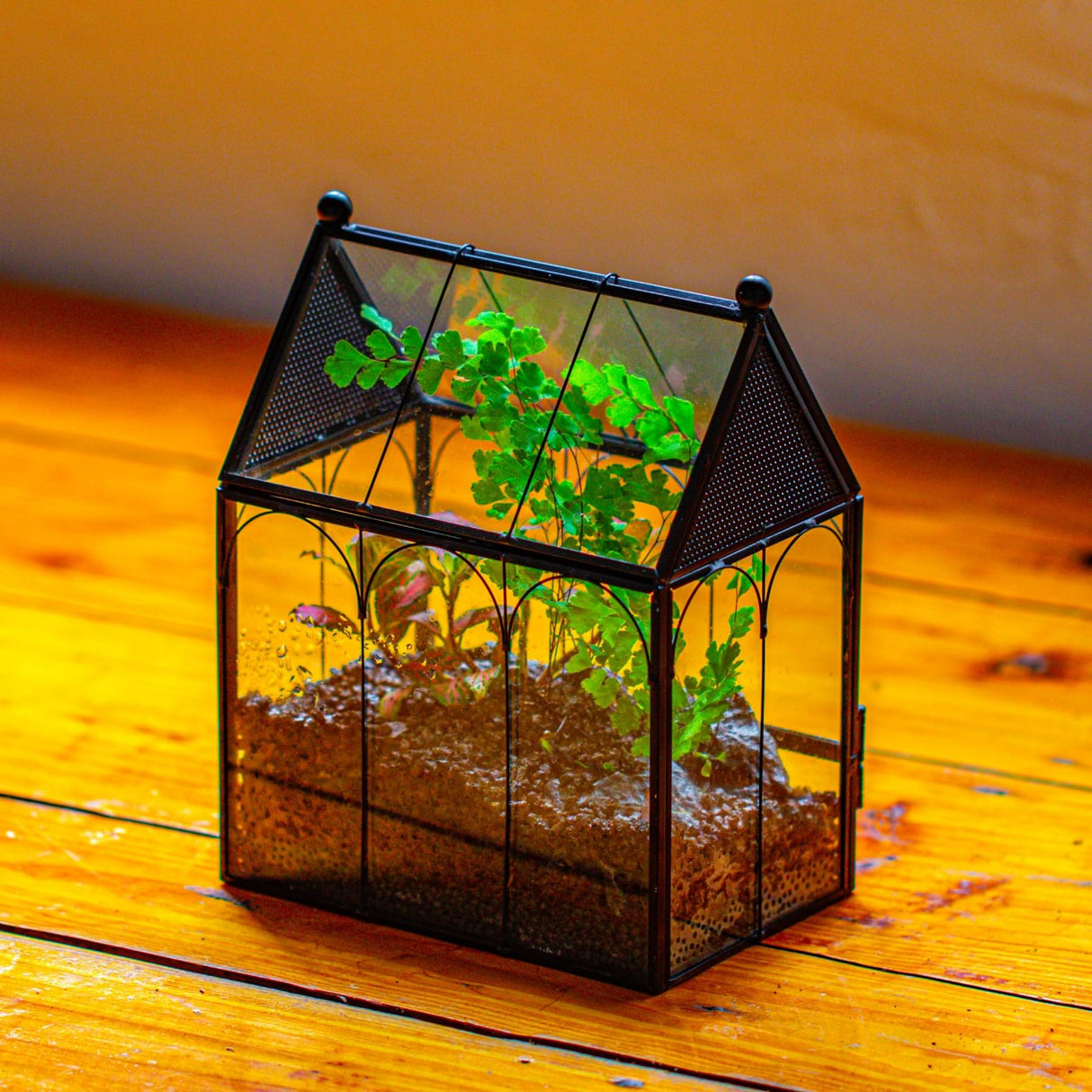 NCYP Small Glass Terrarium Enclosure with Mesh for Jumping Spiders, Micro House Shaped Succulent Plants Terrarium, Home Decor Black, 5.8" x 3.8" x 7" (No Plants)