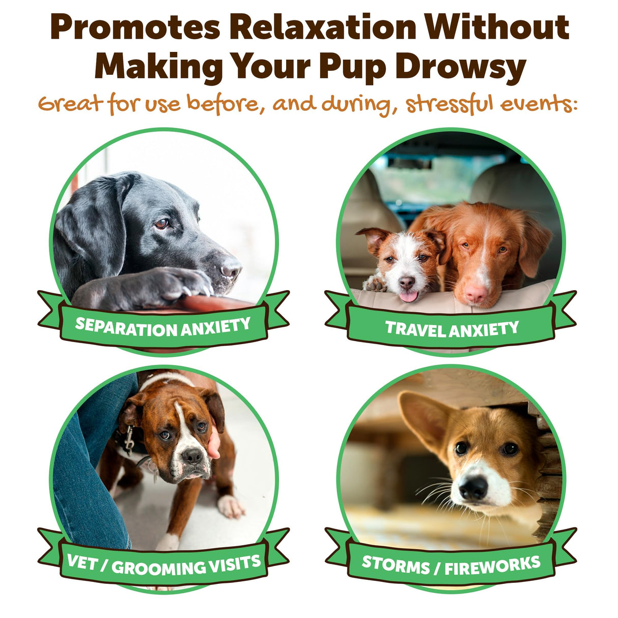 Riley's Calming Peanut Butter for Dogs - Dog-Safe Peanut Butter Calming Aid - Separation Anxiety Relief for Dogs - 8.46 oz