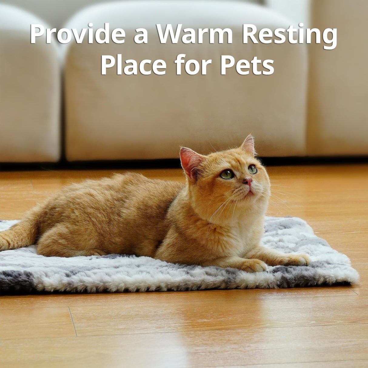 Petace Self Warming Cat Bed, 30" x 20" Ultra Soft Cat Dog Pet Heating Pad for Indoor Outdoor, Non-Slip Heated Dog Mat Thermal Blanket