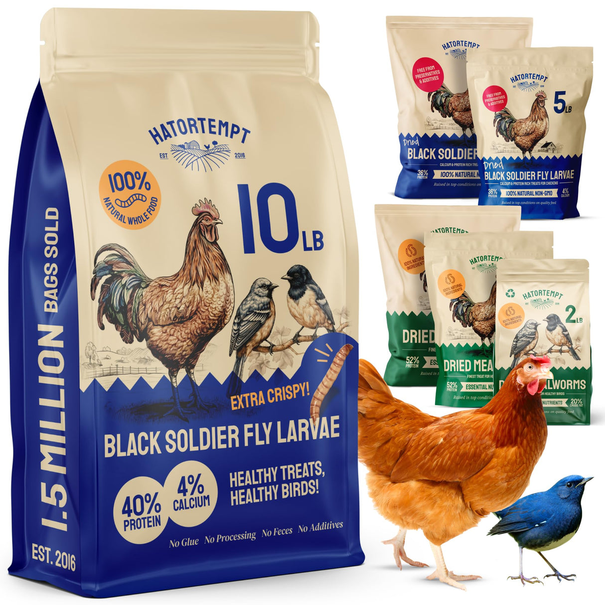 Hatortempt Black Soldier Fly Larvae - Calcium-Rich Chicken Feed Supplement - Treats for Laying Hens - Grubs for Chickens Training Rewards (10lb)