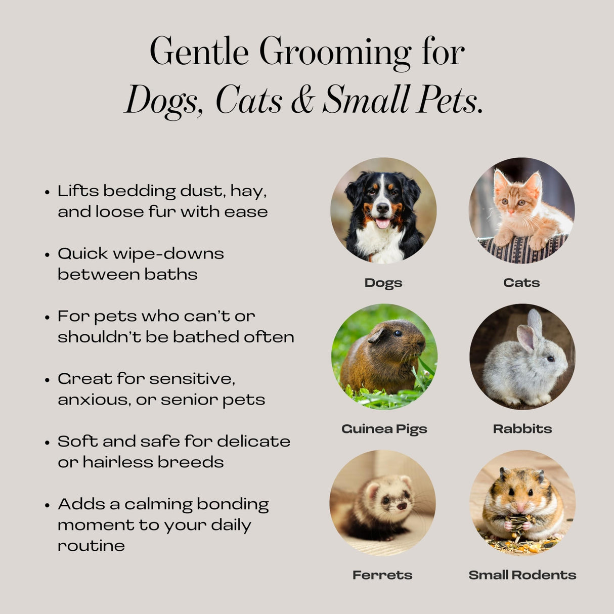 Muddi Mitt Microfiber Reusable Pet Wipes Grooming Towel Glove | Machine-Washable, Soft, Double-Sided Bath Mitt Replaces Wipes | Dirt Odor Removal | Gentle Paw Coat Cleaner | Dogs & Cats (A Pair)