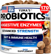 Load image into Gallery viewer, Probiotics for Dogs and Digestive Enzymes - 170 Dog Probiotics Chews - Dog Probiotic - Anti Diarrhea, Upset Stomach & Gas Relief, Canine Prebiotic - Pet Fiber Supplement - Bacon Flavor