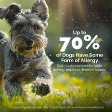 Load image into Gallery viewer, Vetnique Oticbliss Medicated Cat & Dog Ear Cleaner Drops - Dog Ear Infection Treatment with 1% Hydrocortisone to Soothe Itching, Redness, & Swelling - Vet Recommended