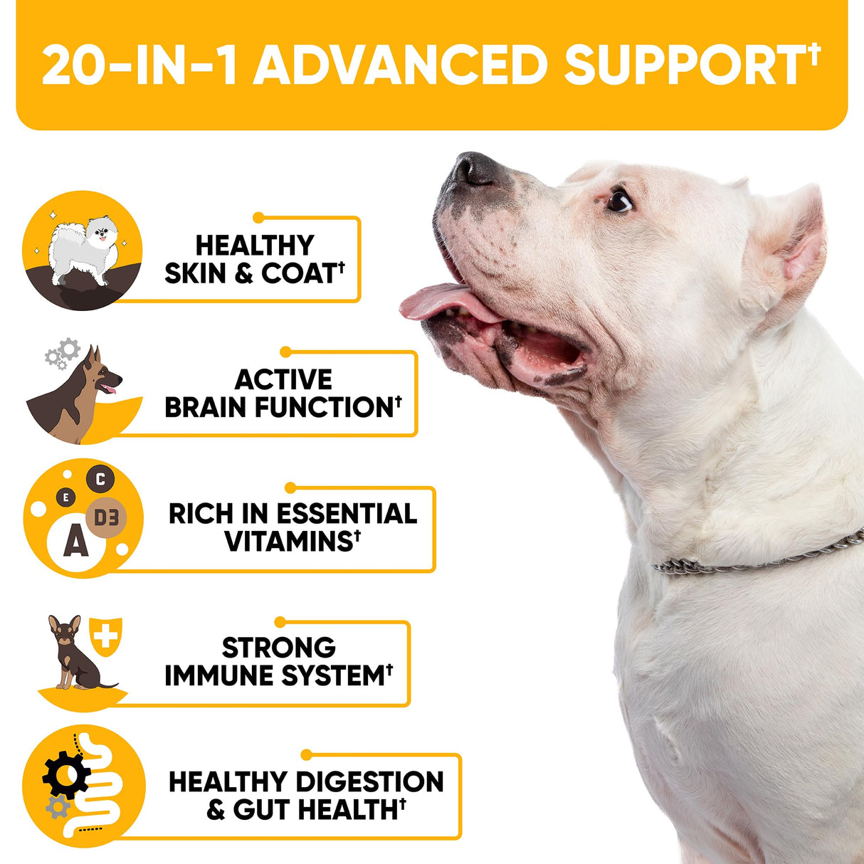 20-in-1 Dog Multivitamin Chews - Dog Supplement for Immunity, Digestion, Joint Care, Vision, Brain and Heart Health Support - Natural Dog Vitamins with MSM & Glucosamine for Dogs - 180 Chews
