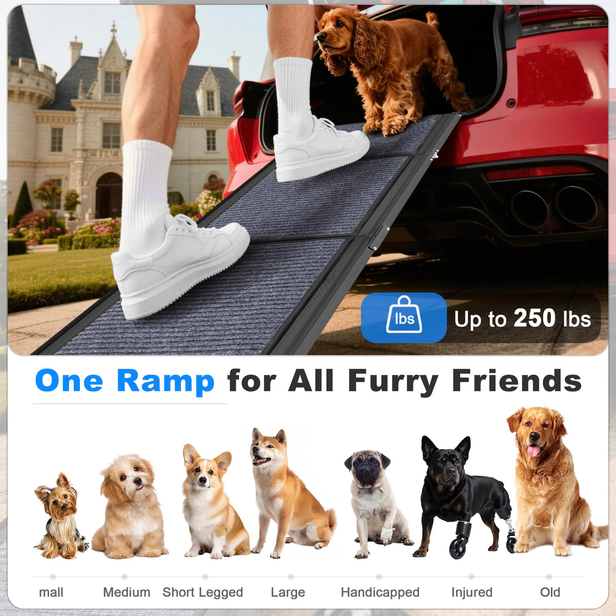 COSIEST Dog Ramp for Car, 70.9" L x 19.7" W Extra Wide Folding Dog Ramp for Large Dogs Up to 250LBS, Portable Pet Steps with Non-Slip Surface for SUV, Bed