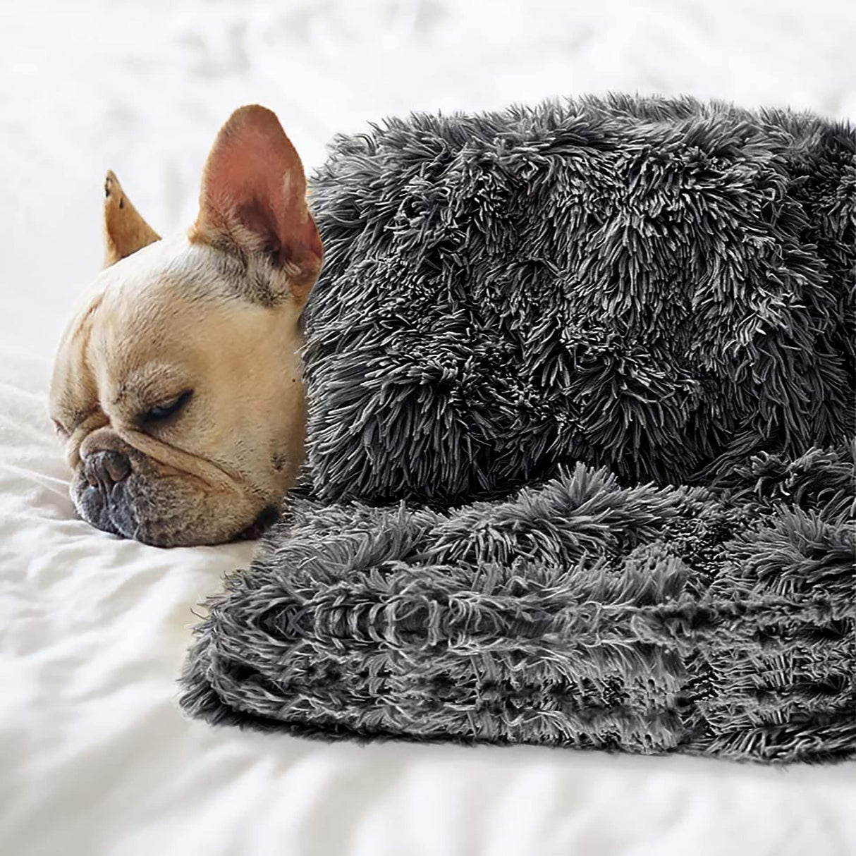 Petbuy Pet Dog Bed Blankets, Fluffy Fleece Dog Throw Blankets Sleep Mat,Soft Puppy Blankets Cat Kitten, S M L XL,Fuzzy Reversible Sherpa Blanket for Bed, Couch, Sofa, Travel,Washable & Lightweight