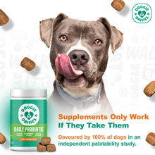 Load image into Gallery viewer, Doggie Dailies Probiotics for Dogs - Advanced Dog Probiotics with Prebiotics - Promotes Digestive Health - Supports Immune System and Overall Health (Pumpkin) 225 Soft Chews