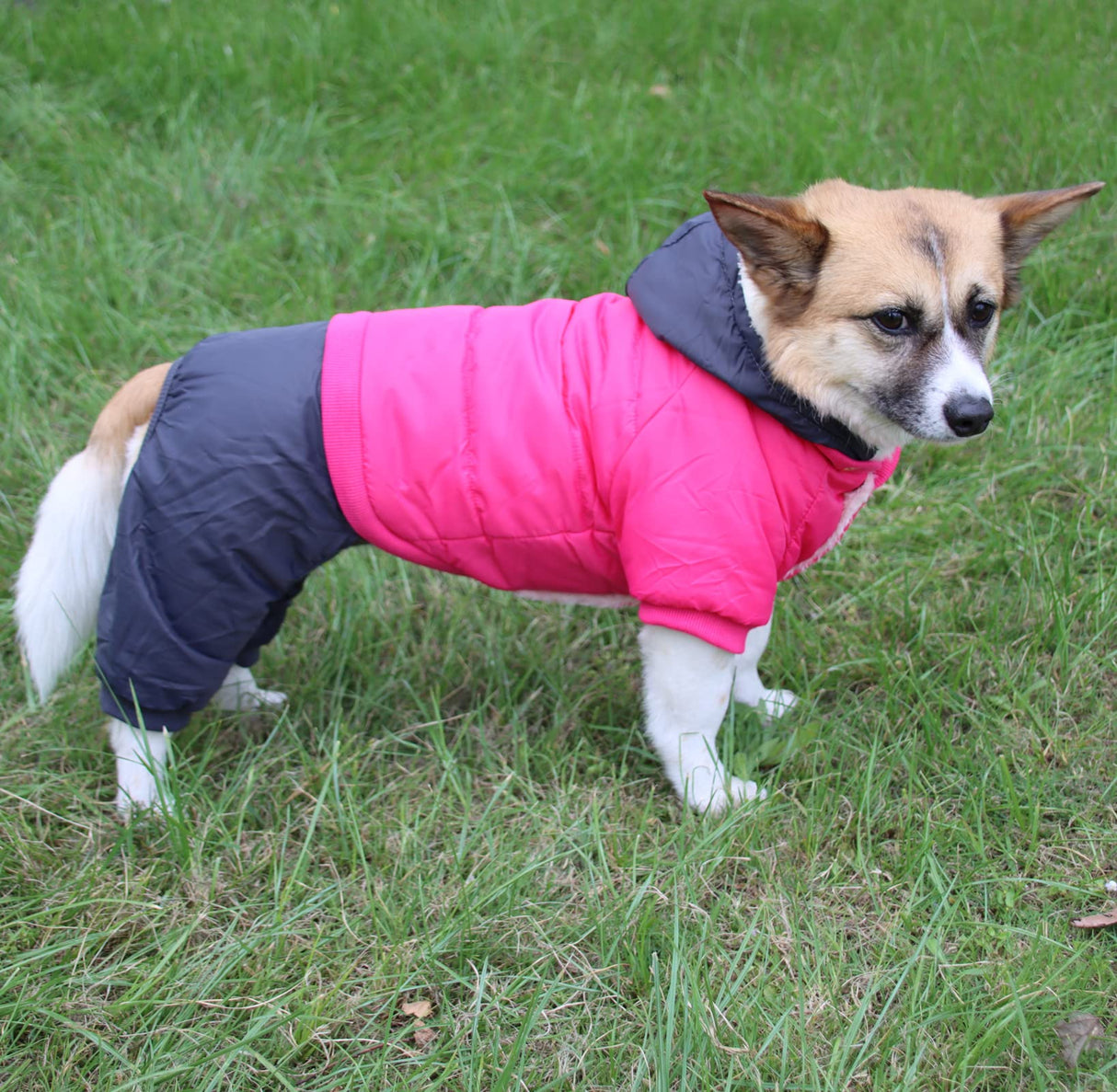 JoyDaog Fleece Lined Dog Coat with Detachable Hood and Detachable Hind Legs,Warm Puppy Jacket in Winter(Pink&Grey XS)