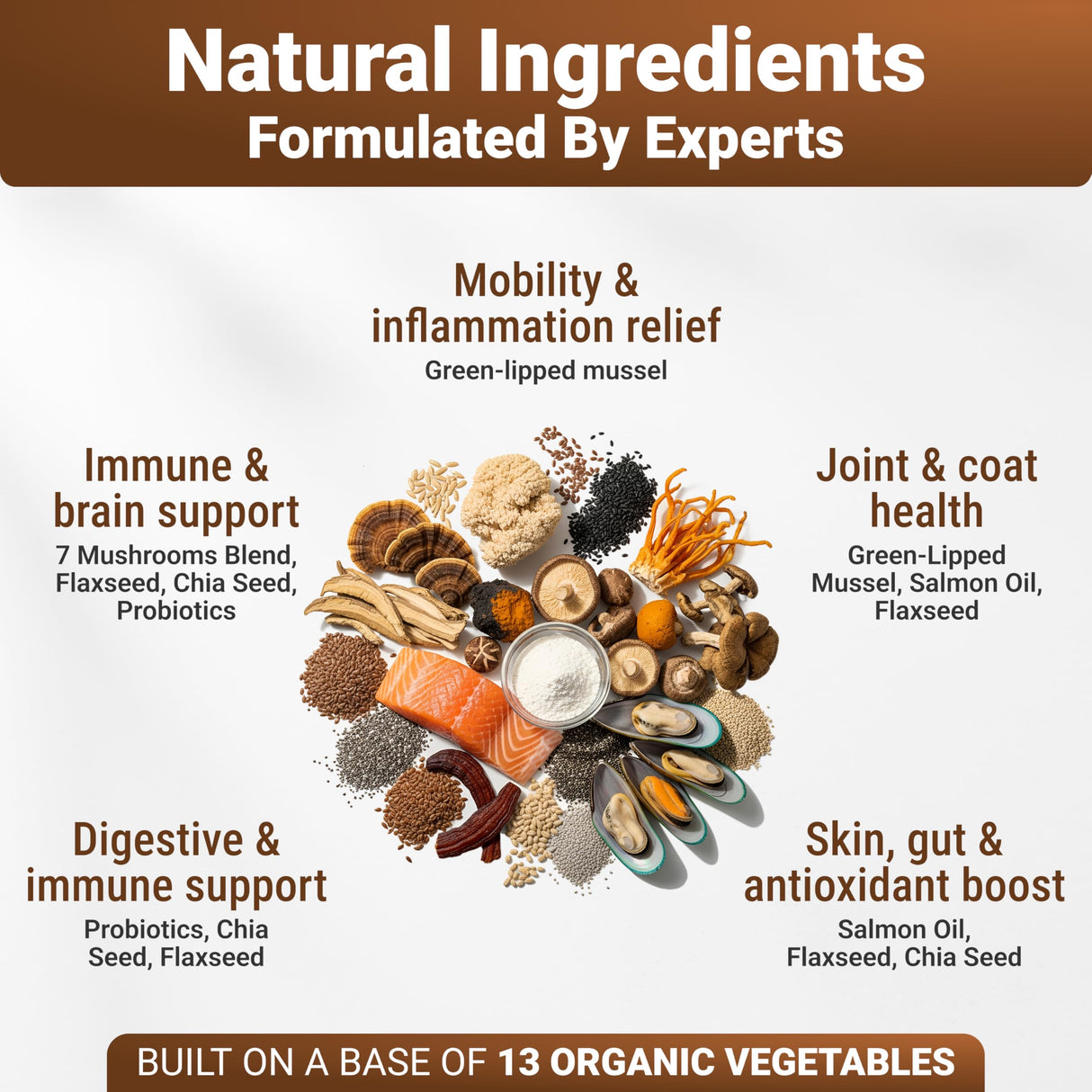 WuffWell Turkey Tail Mushrooms for Dogs – Mushroom Supplement for Dogs Immune Support – Aids Lumps & Bumps – Mushroom Powder for Dog – Vet-Recommended – Dog Mushrooms Powder – Made in USA - 140ct