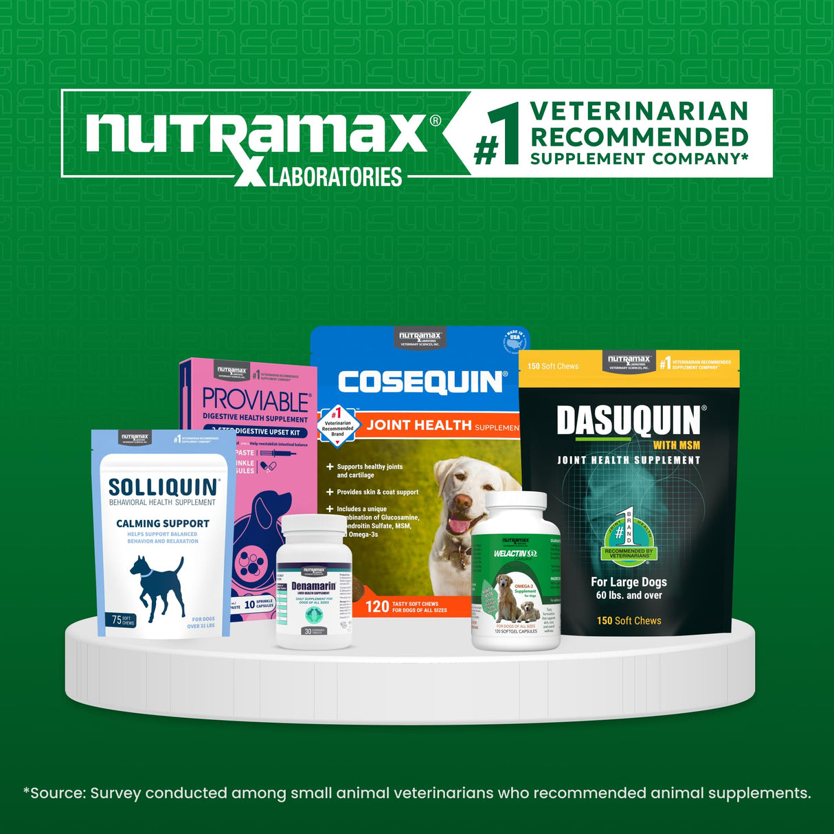 Nutramax Welactin Omega 3 Fish Oil for Dogs, Skin and Coat Health Supplement, Plus Joint, Immune, Kidney, and Brain Support, Premium Omega 3 Fatty Acids, For Dogs of all Sizes, 16 Ounce Liquid (3 Pk)