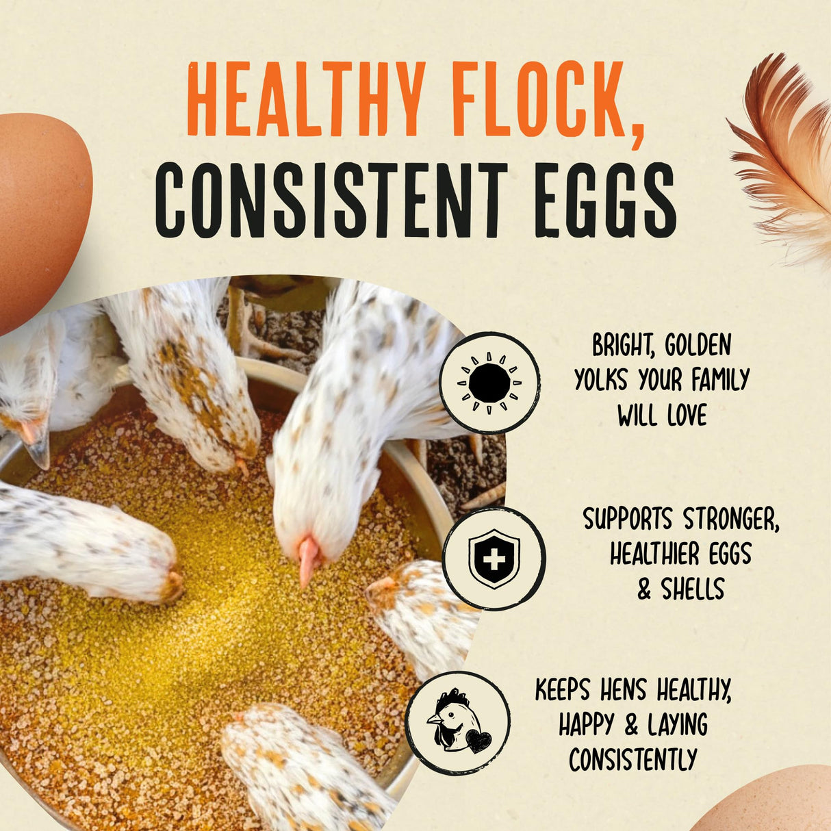 Roosty's Gold Dust Daily Egg Booster - Golden Yolks and Stronger Shells - All Natural Omega-3 Rich - US Made Chicken Supplement - Chicken Health Supplies