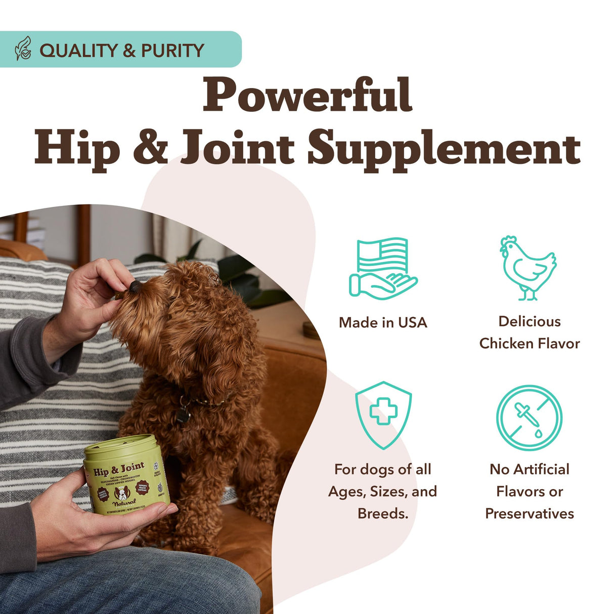 Natural Dog Company Hip & Joint Supplement for Dogs – Supports Mobility, Flexibility & Comfort, Glucosamine, Chondroitin, MSM & Turmeric, Chicken Flavor, 90 Count