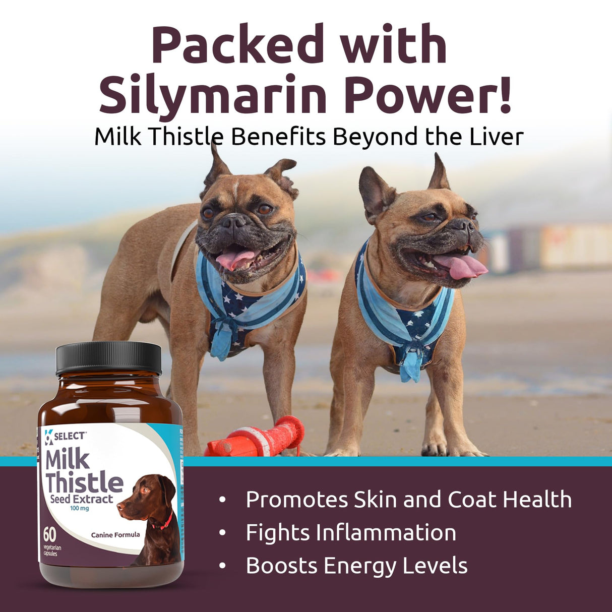 K9 Select Milk Thistle for Dogs, 100mg - 60 Vegetable Capsules - Canine Liver Health Milk Thistle Supplement - Milk Herbal