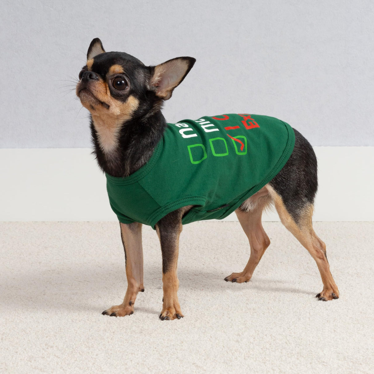 Fitwarm Naughty or Nice Christmas Dog Shirt, Dog Christmas Outfit for Small Dogs Boy Girl, Funny Doggy Tshirt, Pet Outfit, Green, Red, White, XXL
