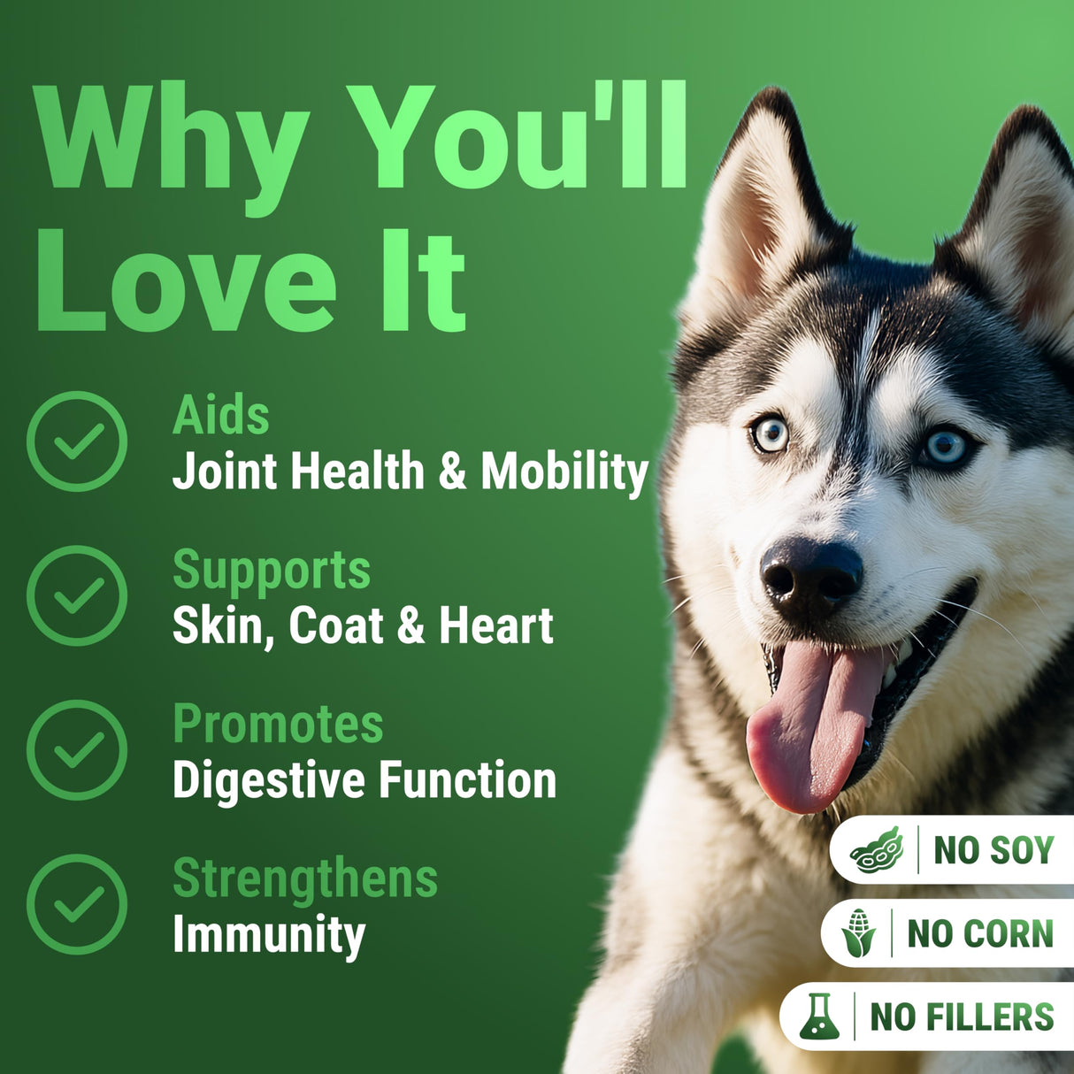 WuffWell Super Greens Powder for Dogs – Spirulina, Chlorella, Moringa, Glucosamine & Turmeric – Joint, Immune & Skin Support – Beef Flavor – Natural Dog Supplements – Vet Approved – Made in USA