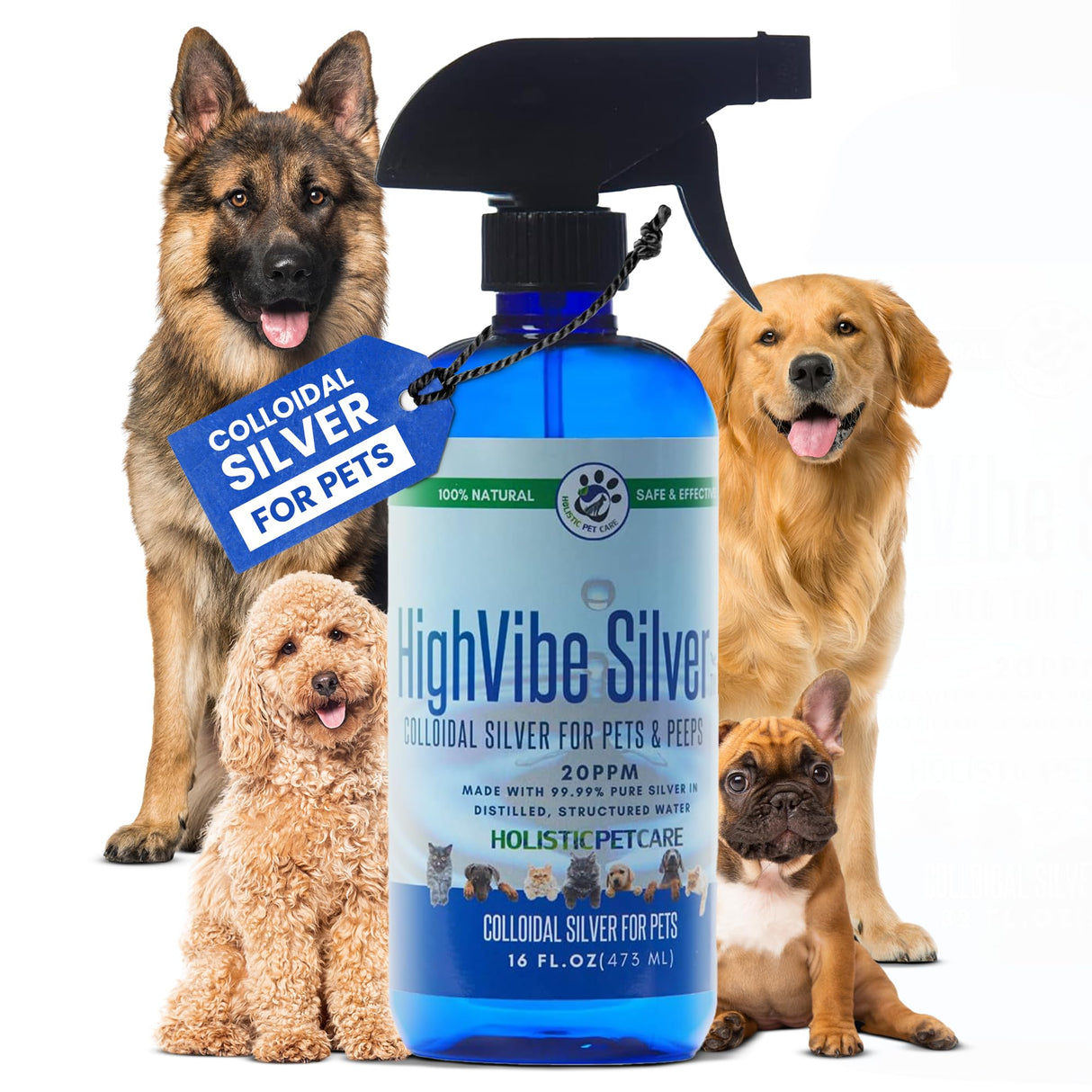 Holistic Pet Care - Colloidal Silver Spray for Dogs, Cats, Horses & Birds - 20 PPM Effective Wound Care, Hot Spot Treatment, Skin Relief & Immune Support - All-Natural Pet Silver Spray (16 Oz)