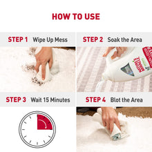 Load image into Gallery viewer, Nature’s Miracle® Stain & Odor Remover, Tough on Dog Urine, Feces, Vomit, Drool and Other Organic Stains and Odors, 1 Gallon