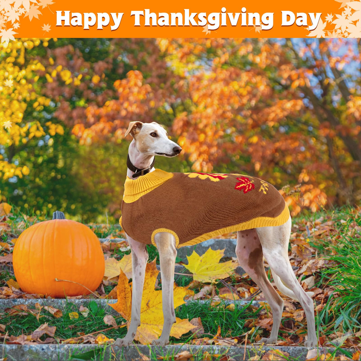 HUMLANJ Thanksgiving Knitted Dog Turtleneck Sweater Dog Sweaters Turkey Warm Pullover Sleeveless with Leash Hole for Puppy Doggy Doggie Yorkshire Chihuahua Pug(XL)