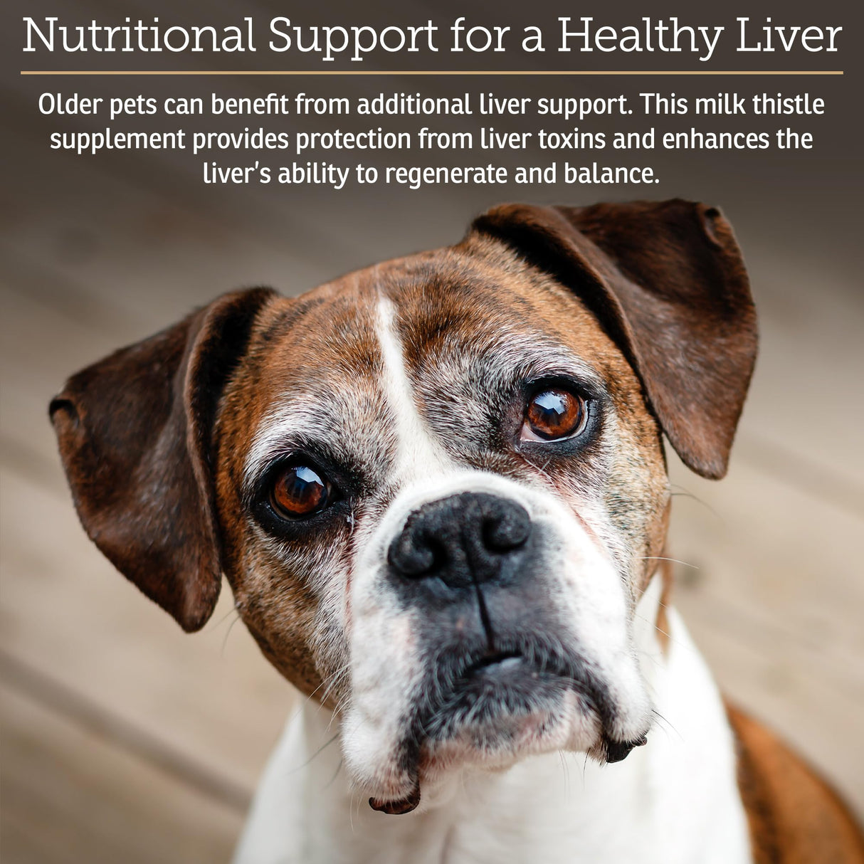 Rx Vitamins Hepato Support for Dogs & Cats - Liver Support Supplement with Milk Thistle - Boosts Liver Detox for Senior Pets - 90 ct