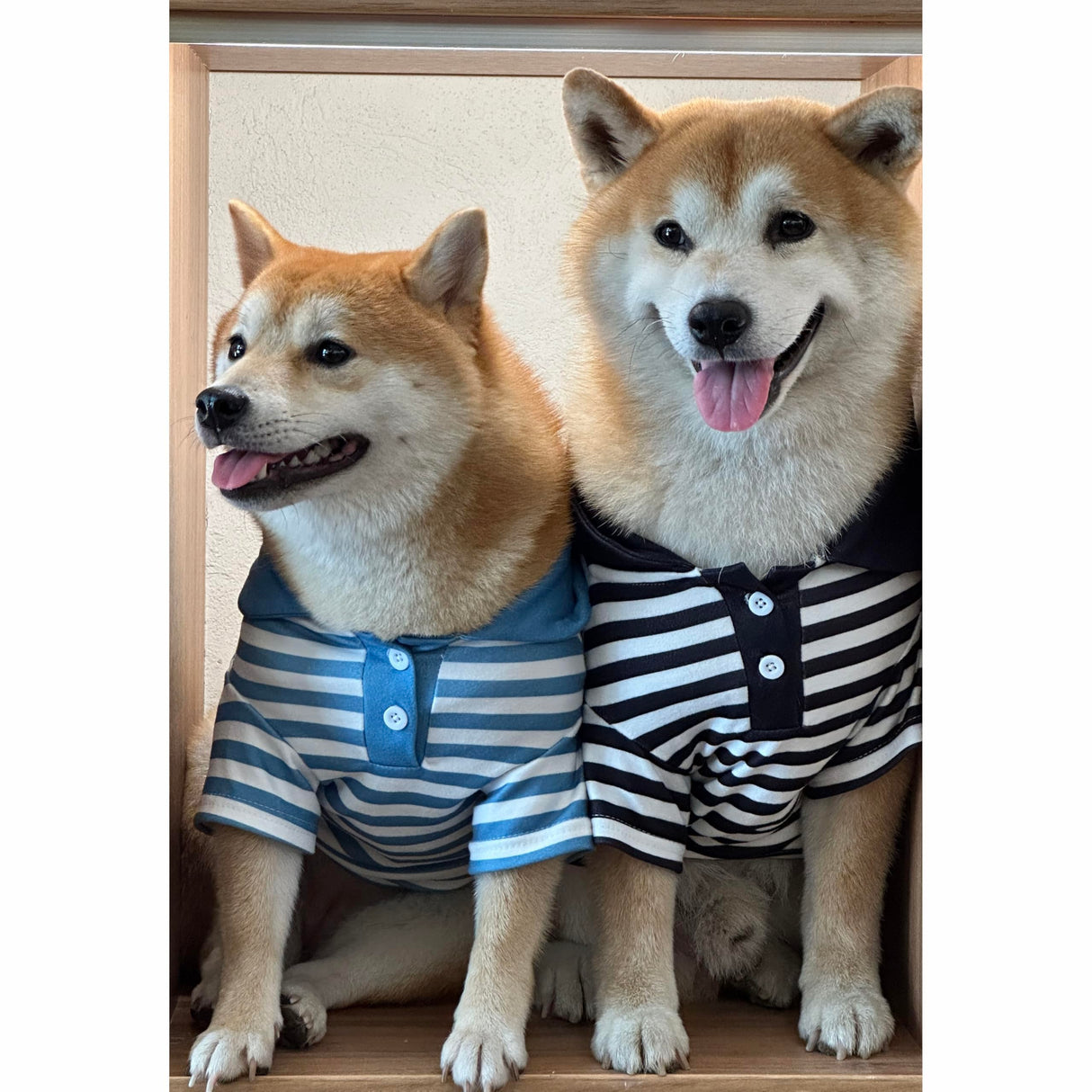Cute Dog Clothes Striped Dog Polo Shirts Cute Sweater Puppy Clothes Gentle Sweater Pet Clothes for Small Medium Large Dogs Cats (Black Stripe, 3XL Size for 40-55lb Pets)