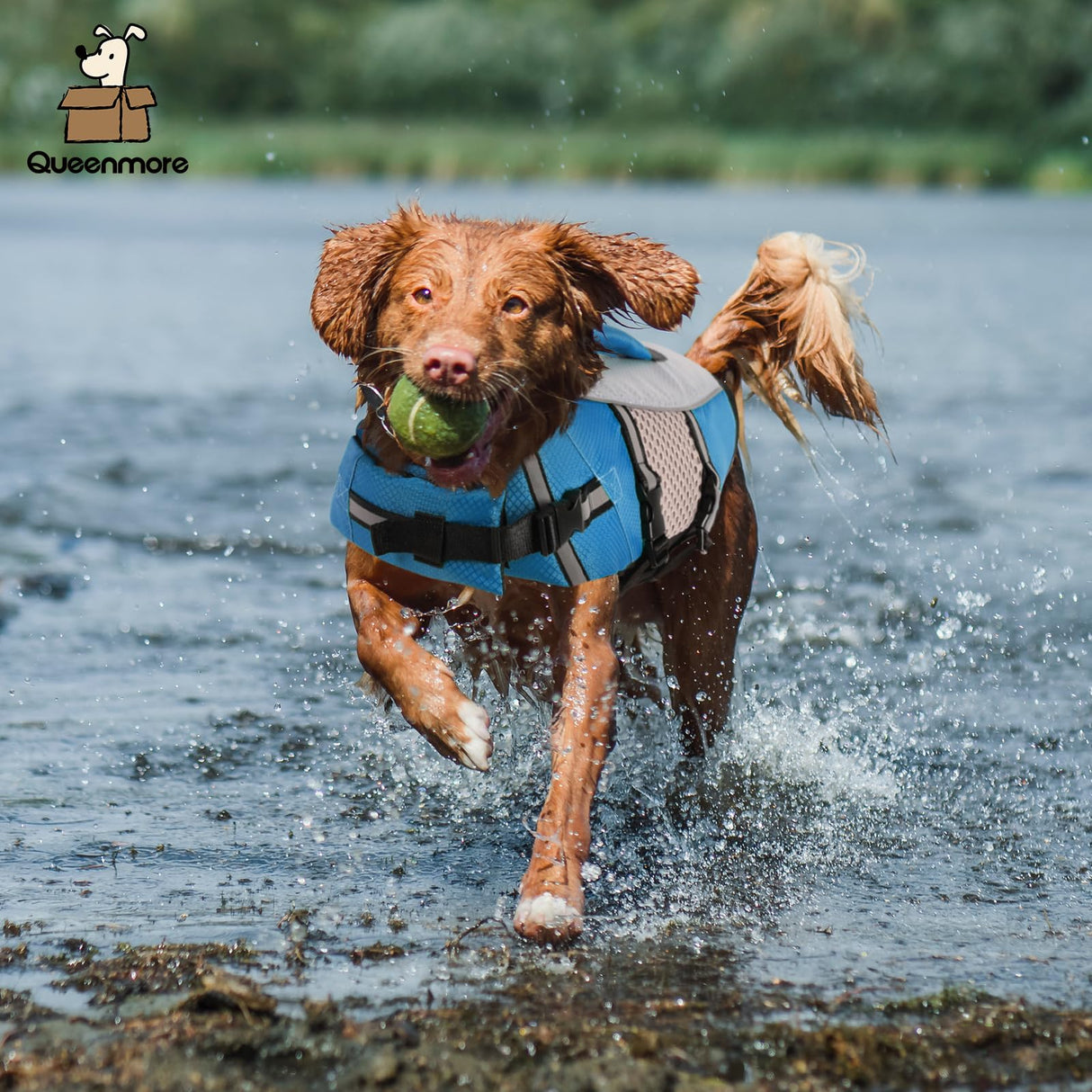 Queenmore Dog Life Jacket Vest for Swimming Boating Kayaking, Small Medium Doggie Puppy Life Preserver Lifesaver Pet PFD Lifejacket Safety Water Vest Pool Floatie (New Blue,L)