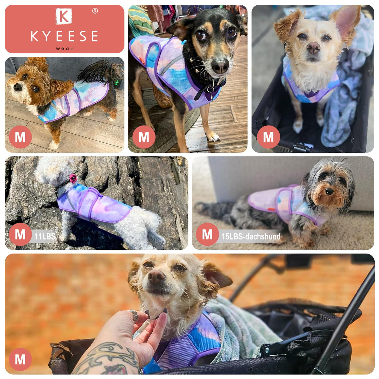 KYEESE Dog Cooling Vest for Summer Lightweight Dog Cooler Jacket 3D Breathable Mesh Pet Cooling Shirts with Reflective Stripe UV Protection Pet T Shirt for Beach, Hiking, Walking (Blue, M)