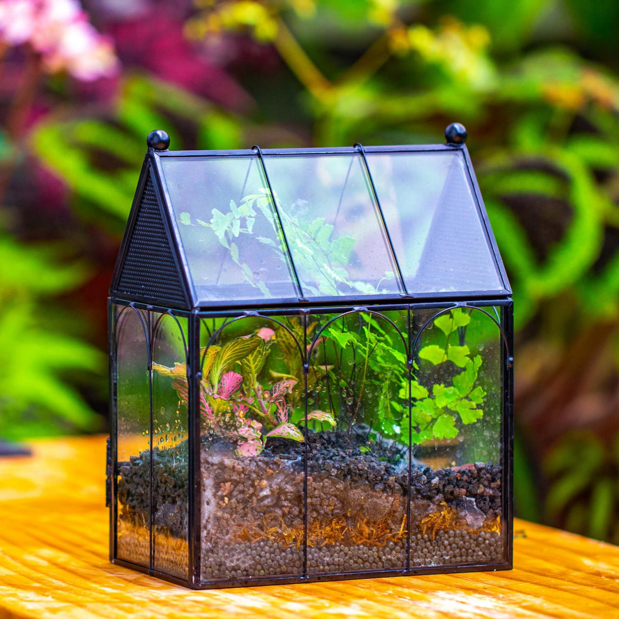 NCYP Small Glass Terrarium Enclosure with Mesh for Jumping Spiders, Micro House Shaped Succulent Plants Terrarium, Home Decor Black, 5.8" x 3.8" x 7" (No Plants)