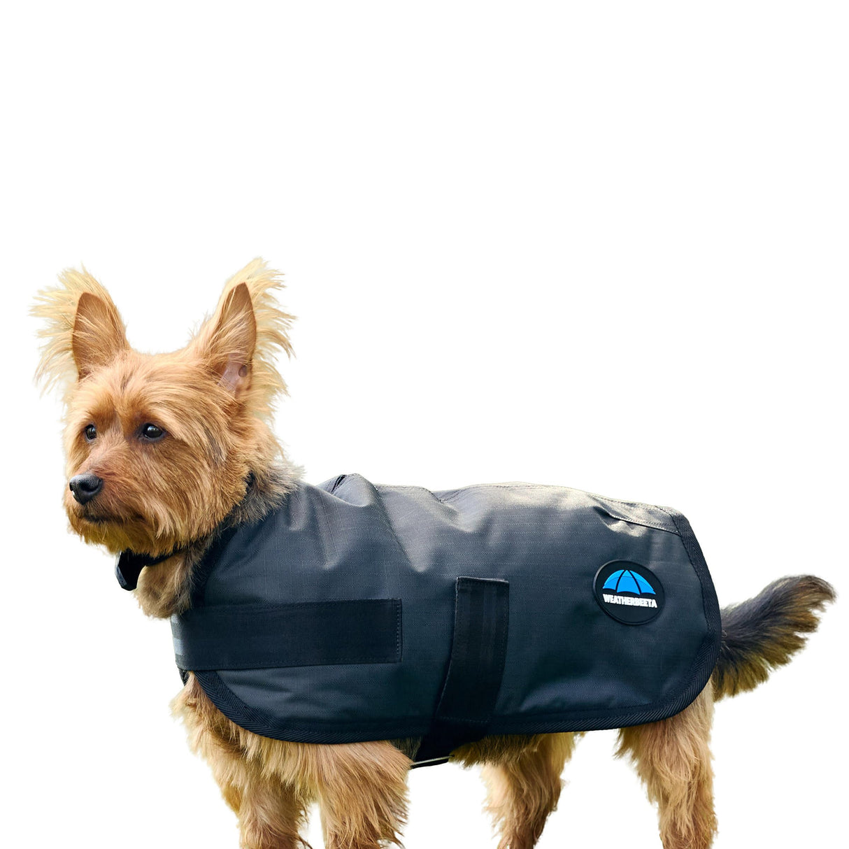 WeatherBeeta ComFiTec Classic Waterproof Dog Coat, Charcoal, 30"