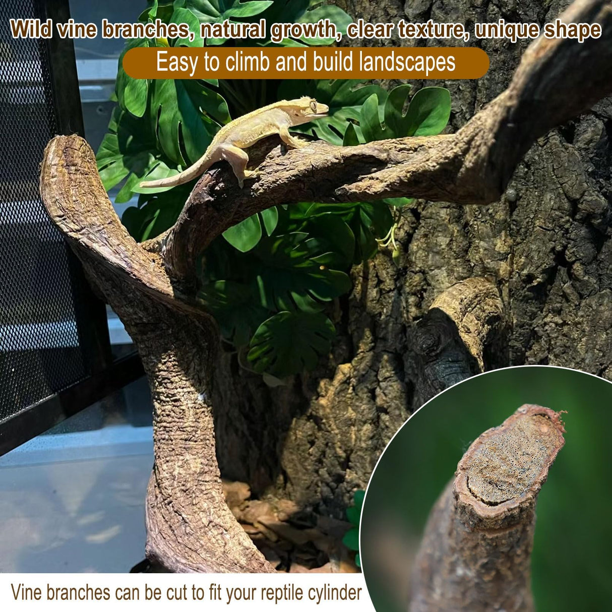Reptile Decor 4PCS Natural Forest Branch Terrarium Habitat Driftwood Decoration Lizard Climbing Tree Branch for Bearded Dragon Gecko Snake Frog Chameleon Spider