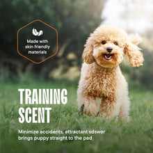 Load image into Gallery viewer, Puppy Pads Pet Pee Pads for Dogs & Puppy Training - 100 Count - Potty Pads for Dogs 22" x 22" Leak-Proof Dog Pee Pads - Quick-Dry Surface - Heavy Duty Absorbent Disposable Dog Wee Pad Bulk Pack