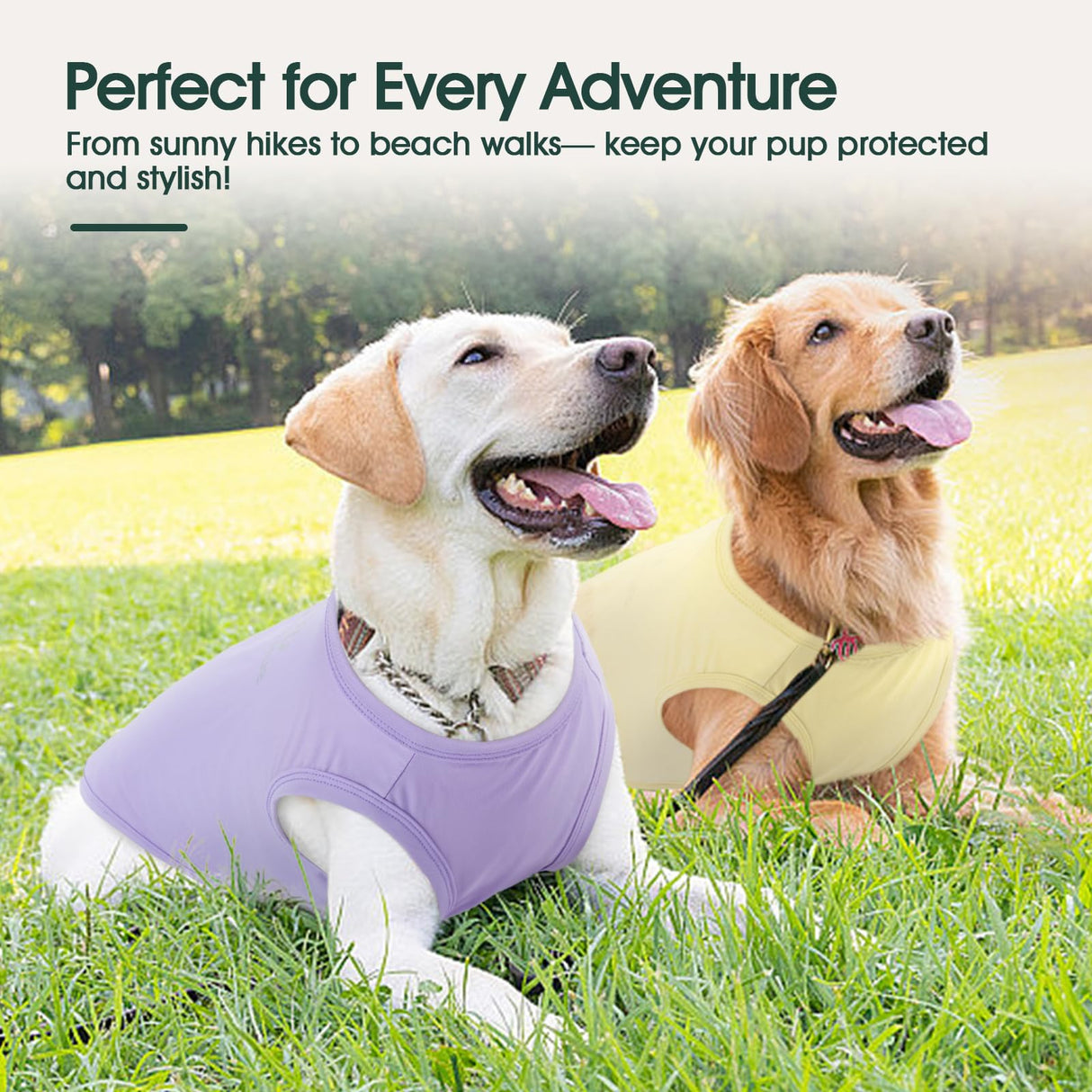 Kuoser 2 Pack Dog Shirts UPF 50+ UV Sun Protection, Lightweight Quick Dry Dog T Shirts for Small Medium Large Dogs, Breathable Pet Vest Dogs Tshirt Pet Clothes for Indoor Outdoor, Purple & Yellow S