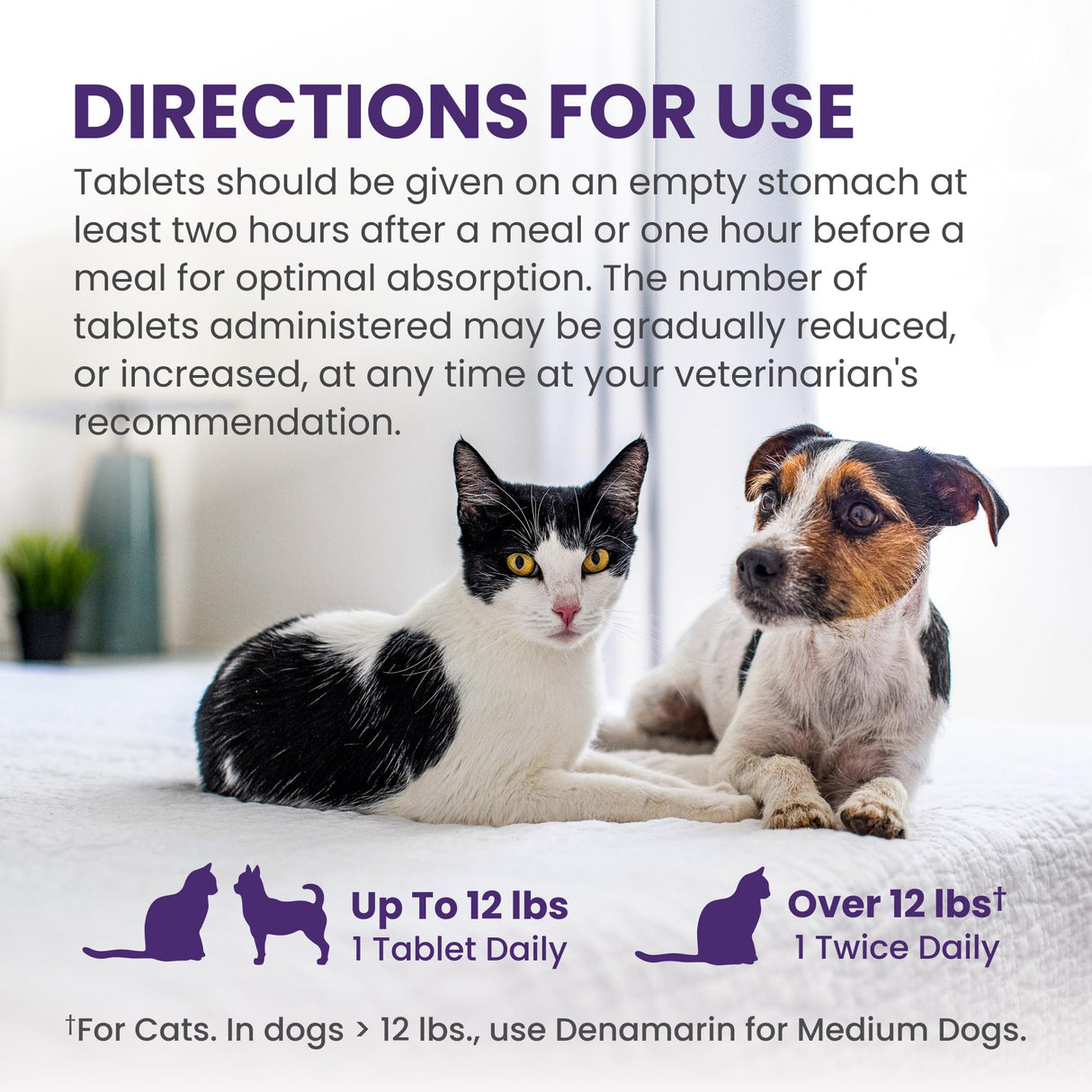 Nutramax Laboratories Denamarin Liver Health Supplement for Small Dogs and Cats - With S-Adenosylmethionine (SAMe) and Silybin, 30 Tablets
