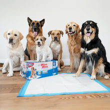 Load image into Gallery viewer, Four Paws Wee-Wee Superior Performance Pee Pads for Dogs with Runoff Barrier Edge Guard Protection, Puppy & Dog Potty Training Pads, Housebreaking Supplies, 27.5" x 44" (18 Count)
