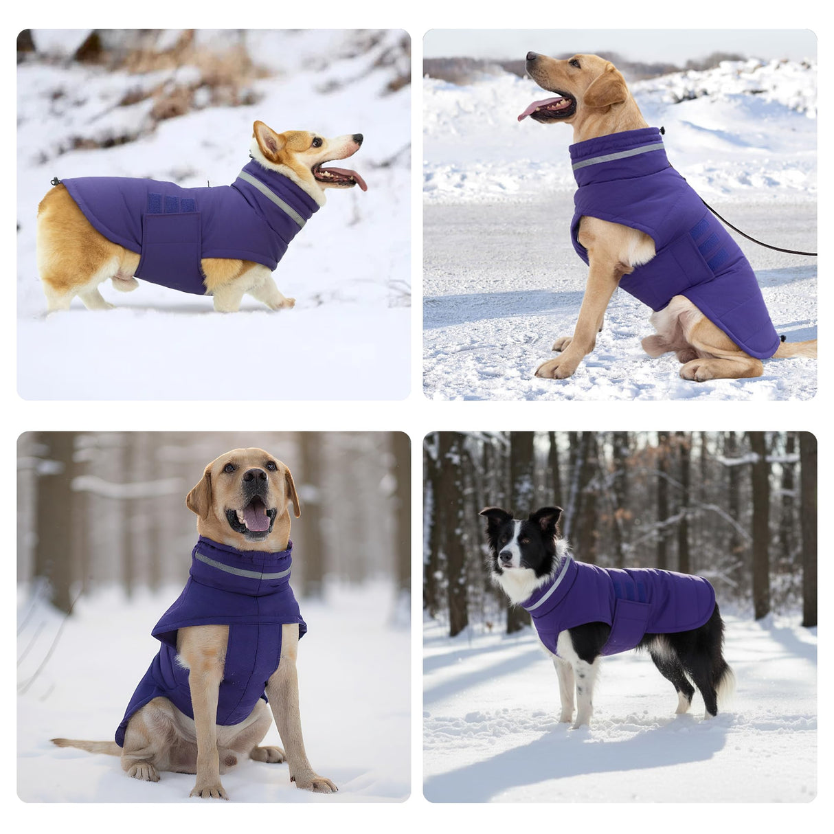 Mklhgty Waterproof Dog Coat for Small Dogs, Warm Dog Winter Jacket, Reflective Windproof Turtleneck Dog Cold Weather Coats with Adjustable Hook & Loop - Purple - S