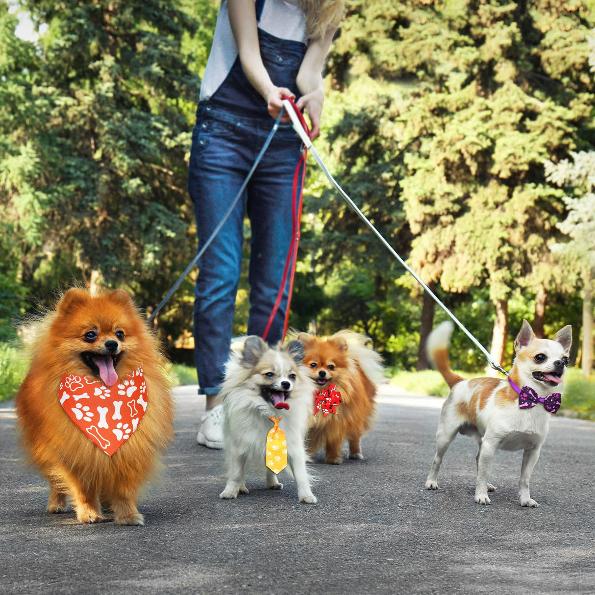 Hosuly 50 Pcs Paw Bone Print Dog Bandana Collar Set Value Package Includes Dog Bow Tie Necktie Collar Pet Scarf Bow Flowers Hexagonal Bowtie Cat Grooming Accessories for Pet Festival Photography