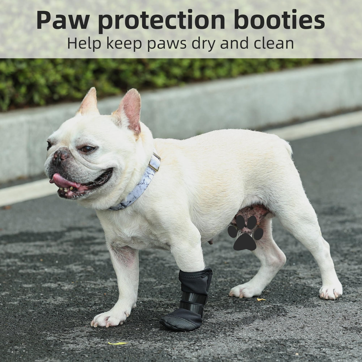 ETIAL Dog Paw Protector Injury & Wound Recovery Boot, Anti-Slip Dog Shoe with Dual Self-Adhesive Straps for Outdoor Walking & Keep Dogs from Licking Wounds (XL, Count, 2)